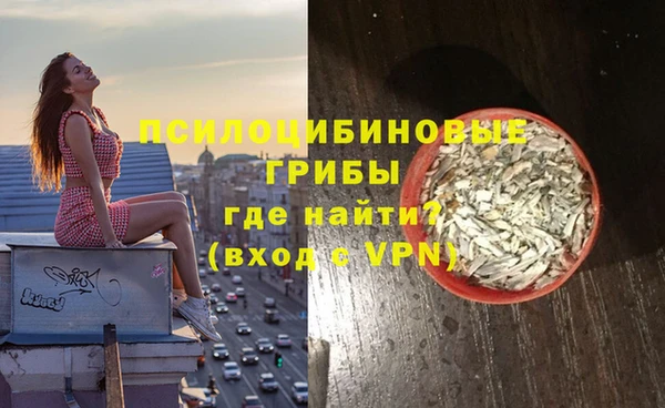 стафф Белокуриха