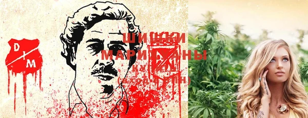 стафф Белокуриха