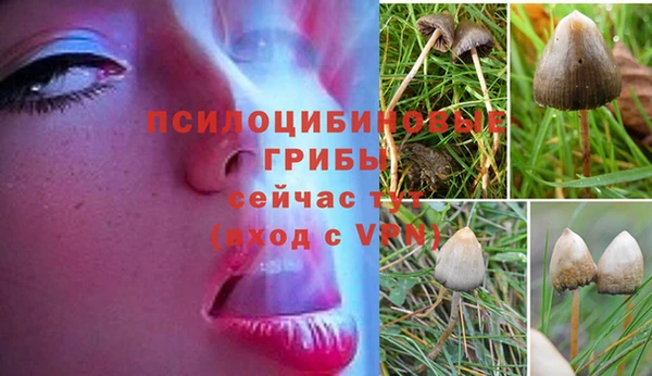 стафф Белокуриха