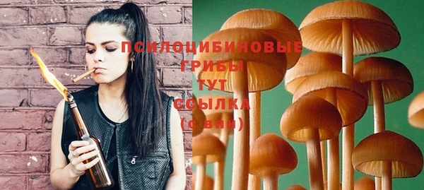 стафф Белокуриха