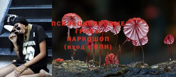 стафф Белокуриха